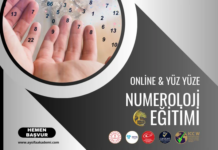 Numeroloji Eğitimi